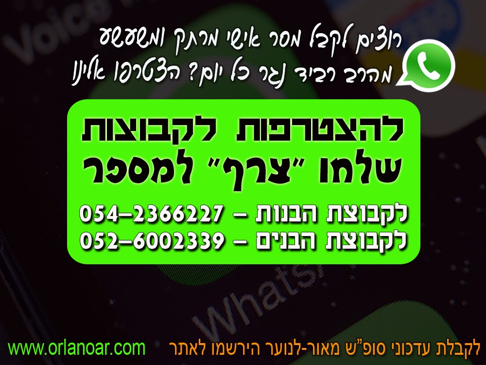 תמונה ללא תיאור